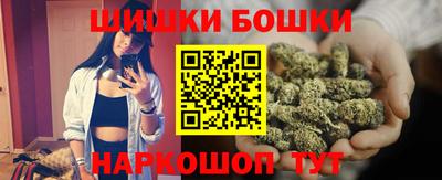 СК Гатчина