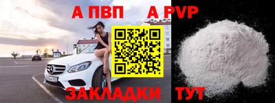СК Гатчина