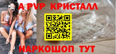 СК Гатчина