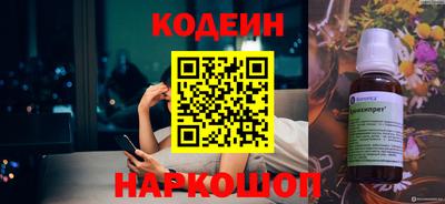 СК Гатчина