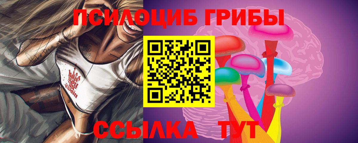 Псилоцибиновые грибы Cubensis Елабуга